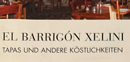 revista